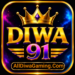 DIWA 91
